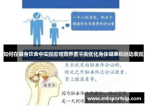 如何在健身饮食中实现宏观营养素平衡优化身体健康和运动表现