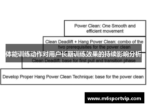 体能训练动作对用户长期训练效果的持续影响分析